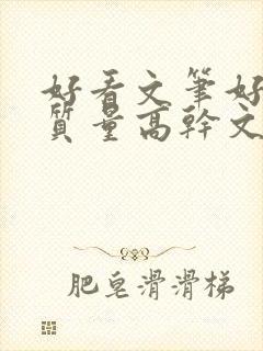 好看文笔好的高质量高干文