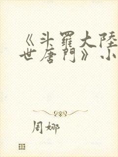 《斗罗大陆2绝世唐门》小说