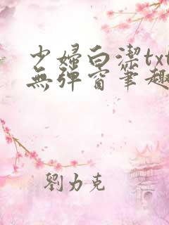 少妇白洁txt无弹窗笔趣阁