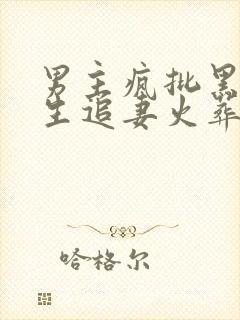 男主疯批黑化重生追妻火葬场