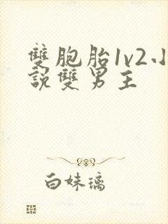 双胞胎1v2小说双男主