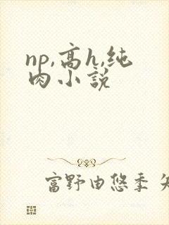 np,高h,纯肉小说