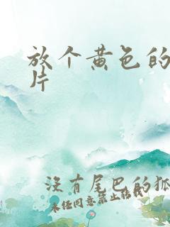 放个黄色的一级片