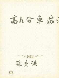 高h公车痴汉