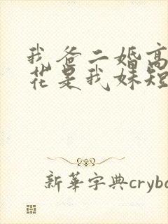 我爸二婚高冷校花是我妹短剧合集