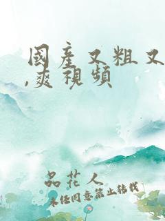 国产又粗又猛又,爽视频