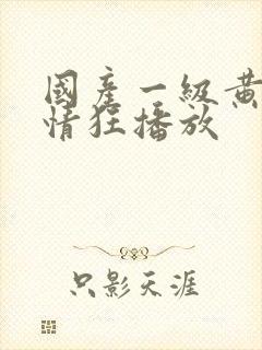 国产一级黄色爱情狂播放