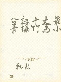 公认十大最好看青梅竹马小说