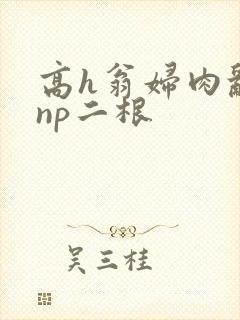 高h翁妇肉乱文np二根