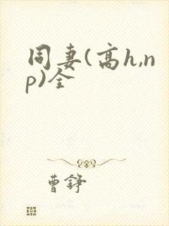 同妻(高h,np)全