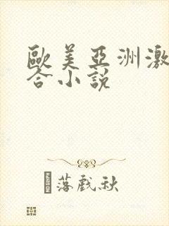 欧美亚洲激情综合小说