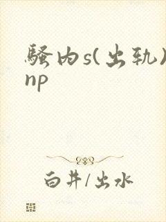 骚内s(出轨)np