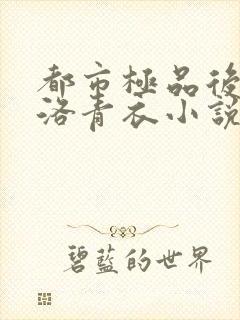 都市极品后宫 洛青衣小说