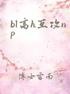 bl高h互攻np