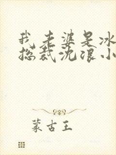 我老婆是冰山女总裁沈浪小说