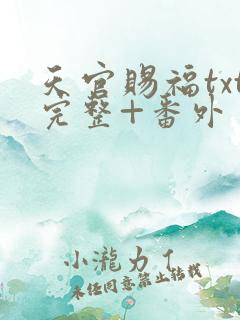 天官赐福txt完整+番外 txt下载
