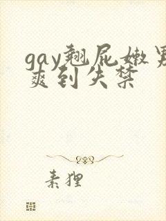 gay翘屁嫩男爽到失禁