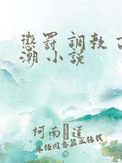 惩罚 调教 高潮 小说