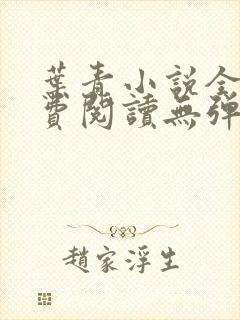 叶青小说全文免费阅读无弹窗