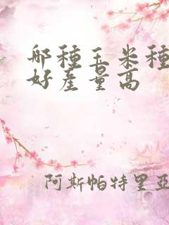 哪种玉米种子最好产量高