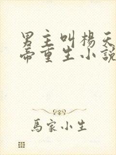 男主叫杨天的仙帝重生小说