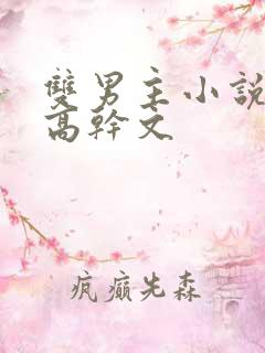 双男主小说推荐高干文