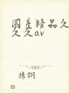 国产精品久久久久久av