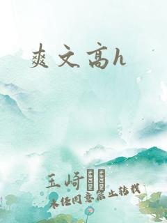 爽文高h
