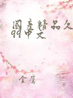 国产精品久久久99中文