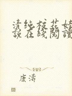 清纯校花娃娃小说在线阅读