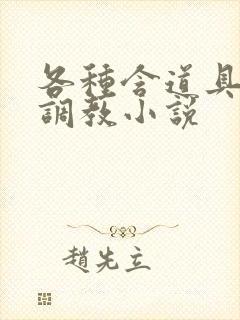 各种含道具高h调教小说