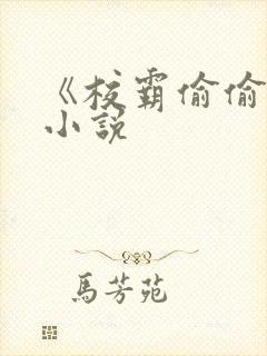 《校霸偷偷爱》小说