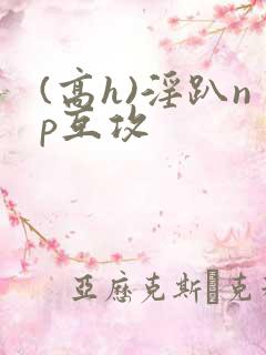 (高h)淫趴np互攻