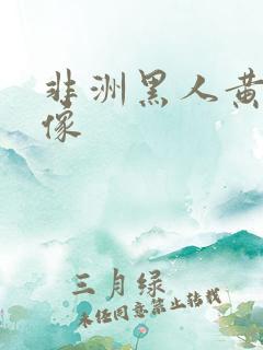 非洲黑人黄色录像