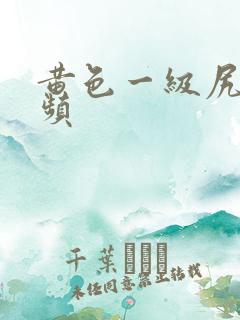 黄色一级尻逼视频