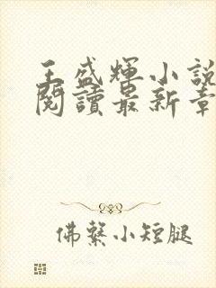 王盛辉小说免费阅读最新章节更新