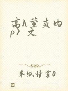 高h荤爽肉〈np〉文