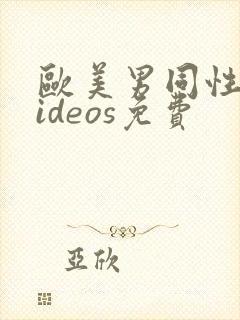 欧美男同性恋videos免费