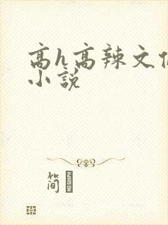 高h高辣文伦理小说