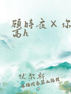顾时夜×你车肉高h