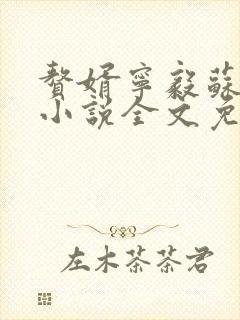 赘婿宁毅苏檀儿小说全文免费阅读