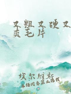 又粗又硬又长又爽毛片