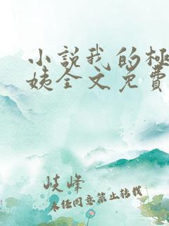 小说我的极品小姨全文免费阅读