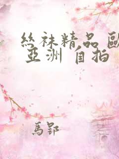 丝袜精品 欧美 亚洲 自拍