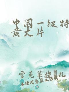 中国一级特黄特黄大片