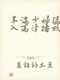 丰满少妇猛烈进入高清播放