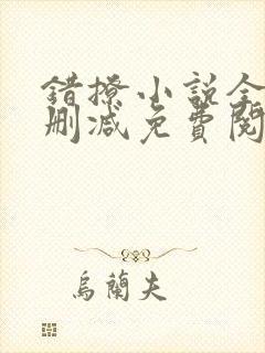 错撩小说全文无删减免费阅读