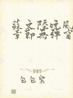 苏文陆晚风最新章节无弹窗笔趣阁