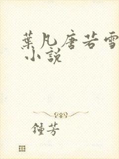 叶凡唐若雪医婿 小说