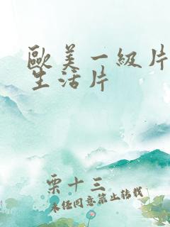 欧美一级片视频生活片